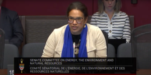 ESF Speaks on Sustainable Jobs Act at Senate Committee on Energy, the Environment and Natural Resources